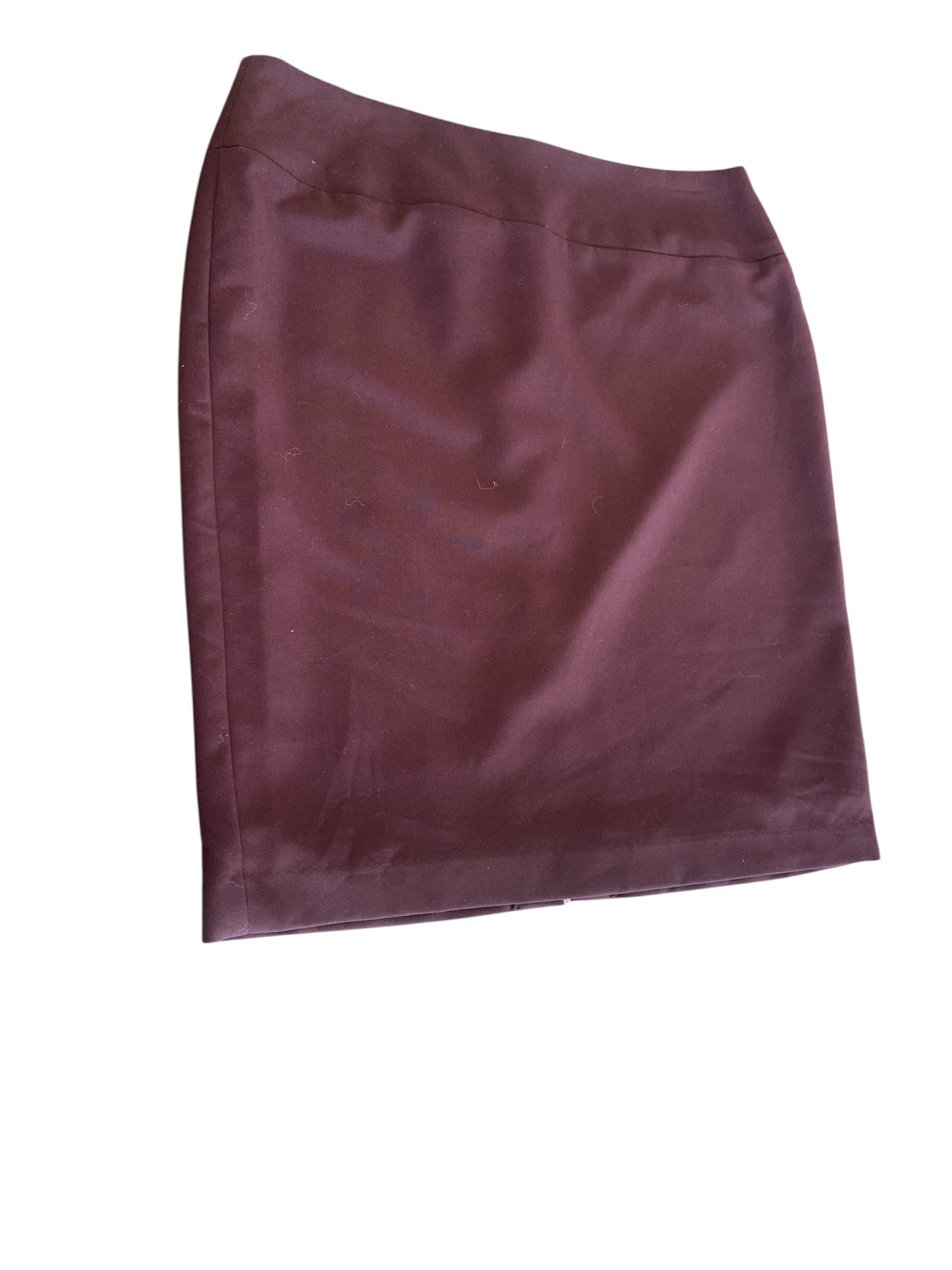 Brown Alfani Skirt Women's