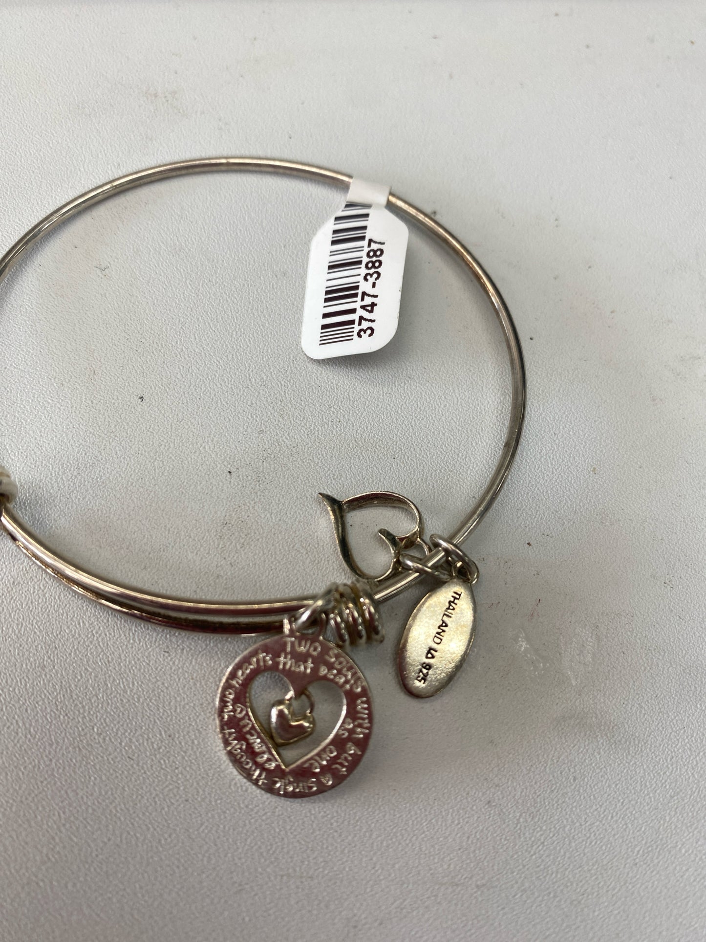 Extraordinary Life SS Bracelet