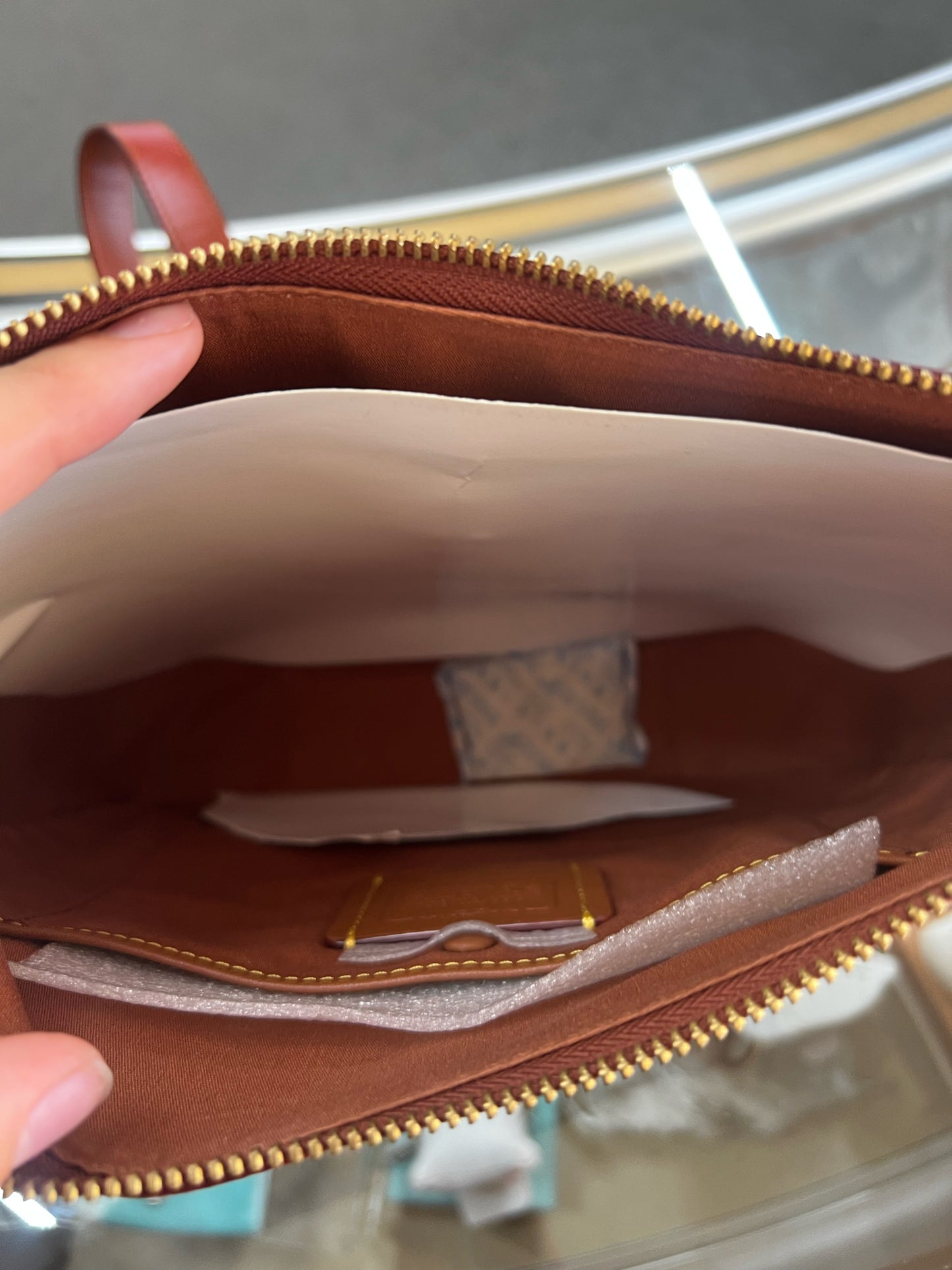Designer NEW Coach Beige/Brown Crossbody