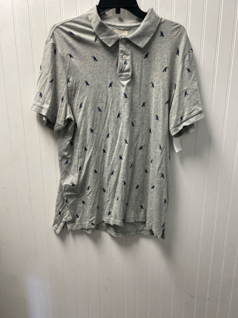 Gray Aeropostale Polo Men's