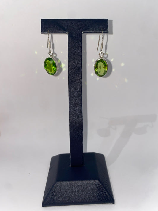 Sterling Silver Dangle Earrings