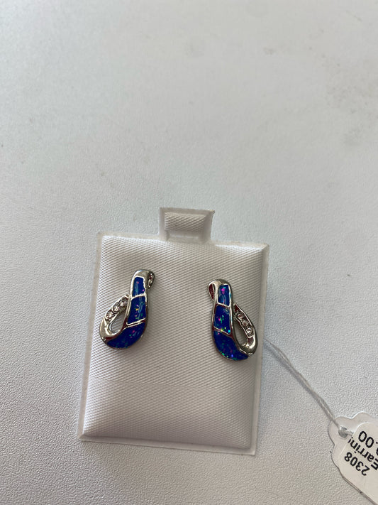 Sterling Silver Earrings