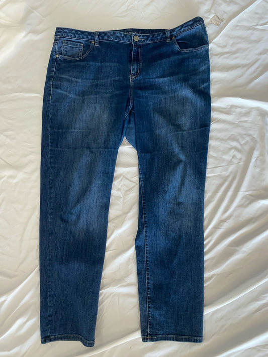Denim Lane Bryant Jeans Women's