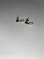 SS FWP Earrings
