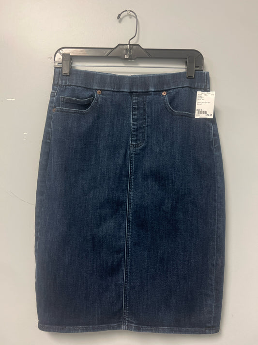 Denim Lands End Skirt Women's