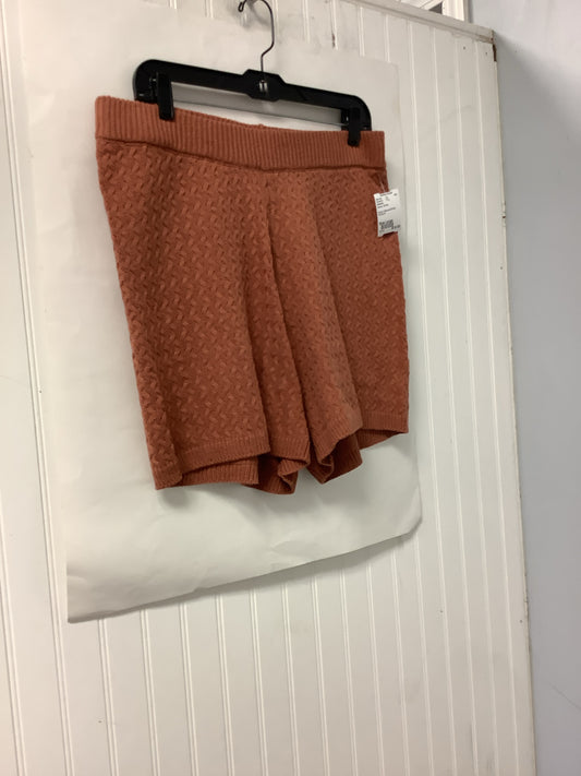 Brown Versona Shorts Women's