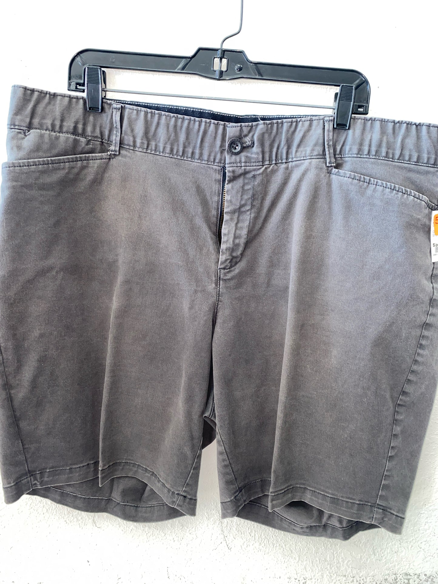 Gray Eddie Bauer Shorts Women's