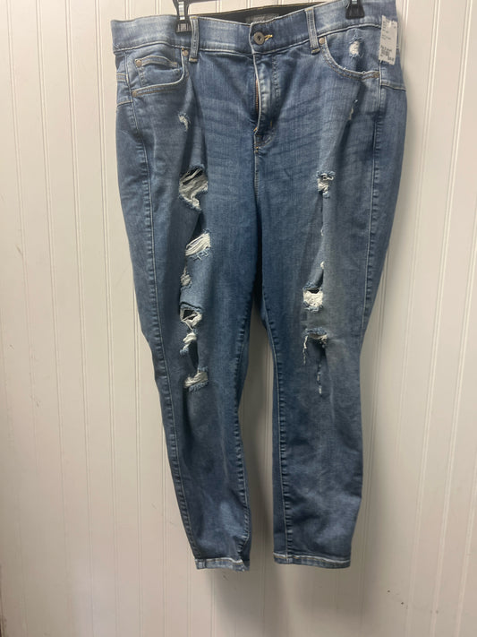 Denim Torrid Jeans Women's