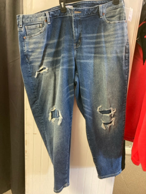 Denim Lane Bryant Jeans Women's