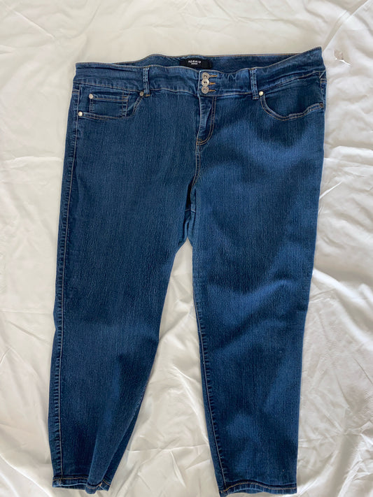 Blue Torrid Jeans Women's