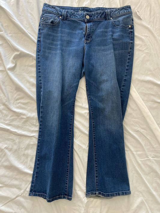 Denim Lane Bryant Jeans Women's